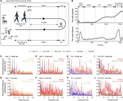 SPARC Metrics Provide Mobility Smoothness Assessment in Oldest-Old With and Without a History of Falls: A Case Control Study